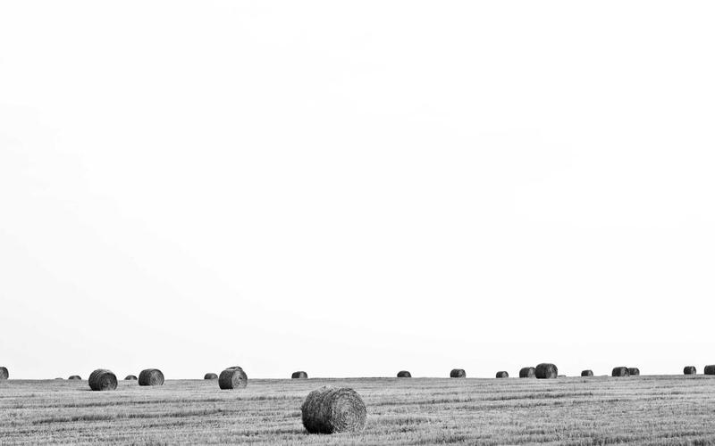 Strim Kirsc Edukacija — ured